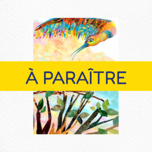 Le prochain album à paraître de patrice Seiler aux éditions Kidikunst